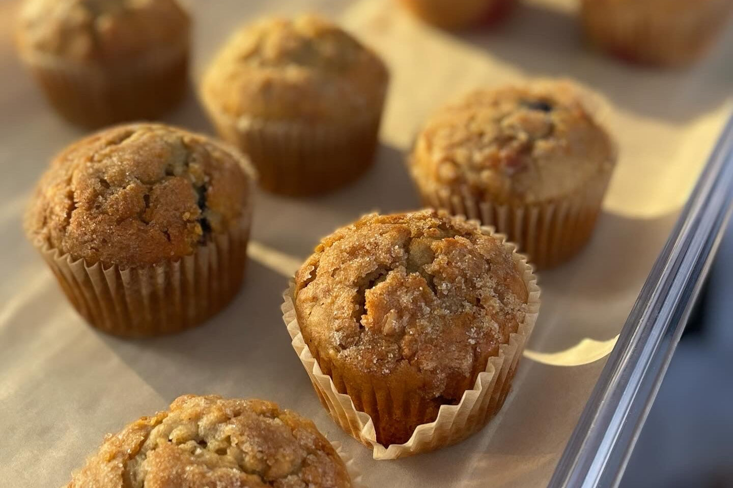 Signature Muffins (Wholesale)